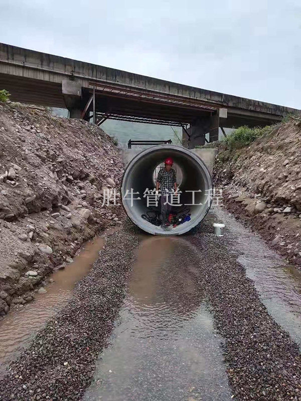 91看片APP下载